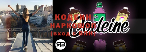 СК Снежногорск
