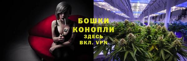 СК Снежногорск