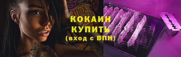 крисы Богородск