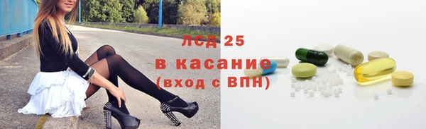 сатива Богородицк