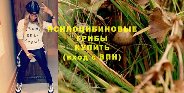 MESCALINE Осинники