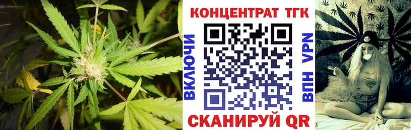 где можно купить   Коммунар  гидра   ТГК Wax 