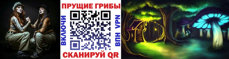 Псилоцибиновые грибы GOLDEN TEACHER цены сайты даркнета состав Коммунар